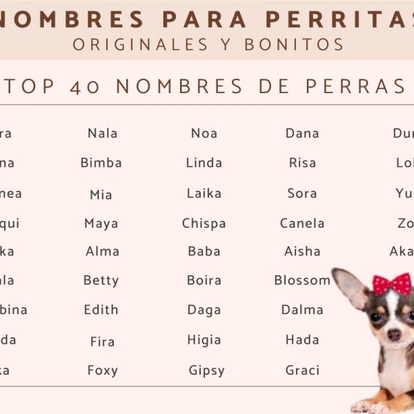 100 Nombres para Perros Hembras con Significado