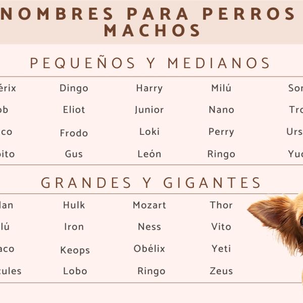 100 Nombres para Perros Machos con Significado