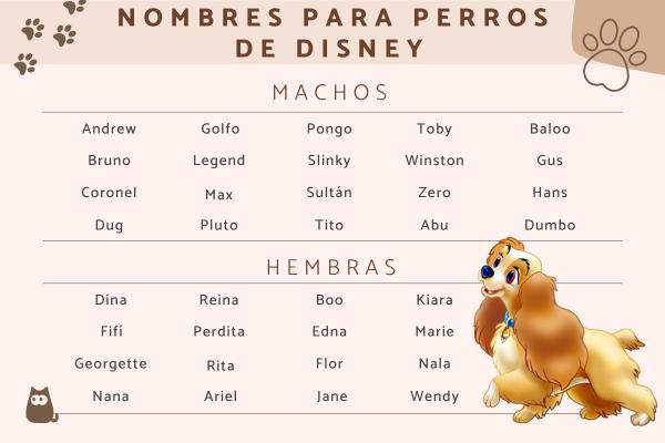 Nombre en Español para el Perro Goofy