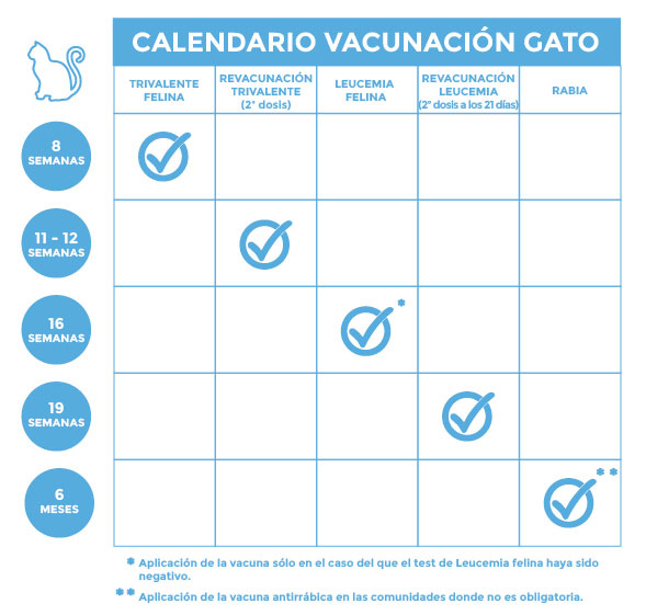 Nombre de Vacunas para Gatos