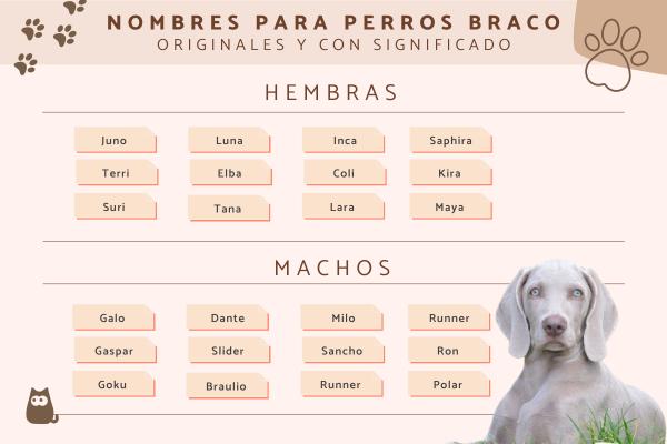 Nombre para Perros de Cacería
