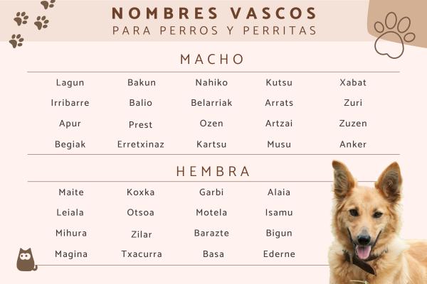 Nombre para Perros en Euskera