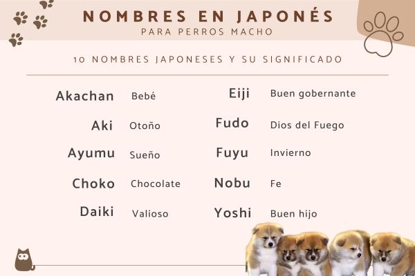 Nombres Coreanos para Perros Machos