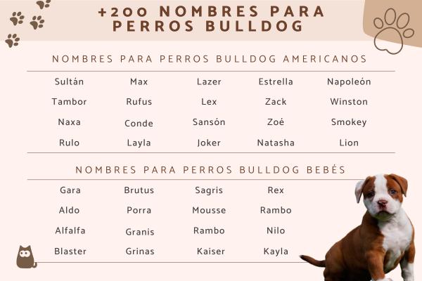Nombres Cortos para Perros en Inglés