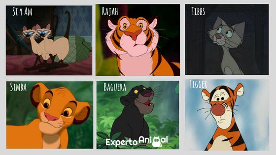 Nombres de Dibujos Animados para Gatos