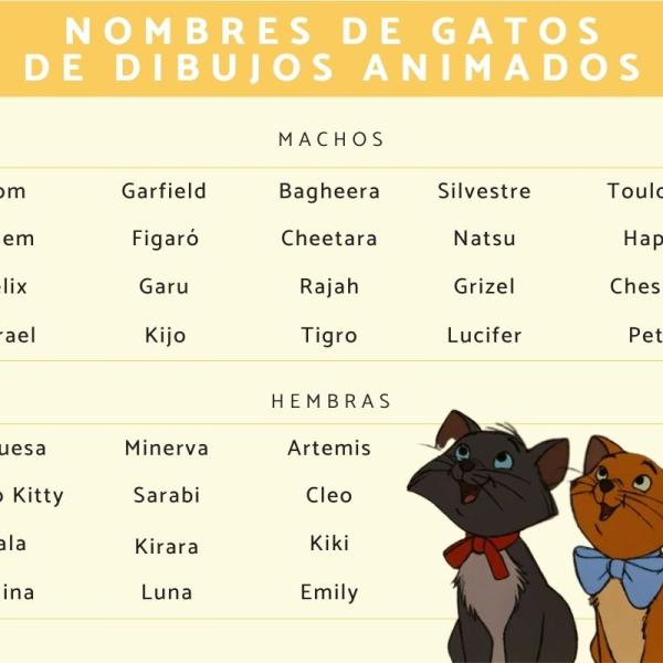 Los mejores Nombres de dibujos animados para gatos