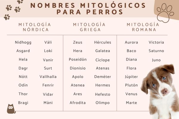 Nombres de Dioses Griegos y Romanos para Perros