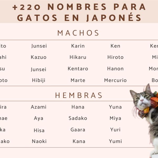 Nombres de Dioses Japoneses para Gatos