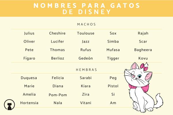 Nombres de Disney para Gatas