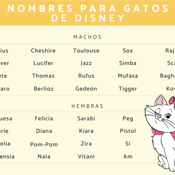 Los mejores Nombres de disney para gatas