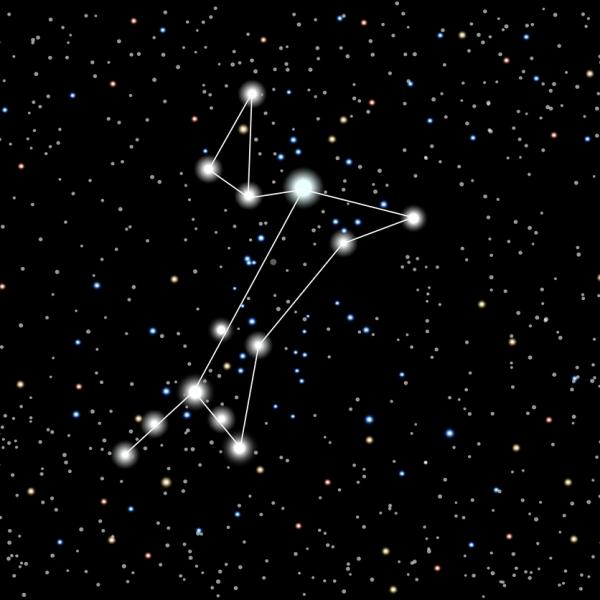 Nombres de Estrellas para Perros