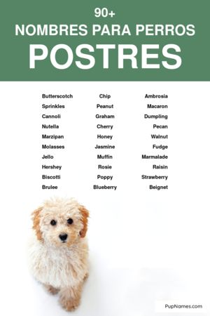 Nombres de Fruta para Perros