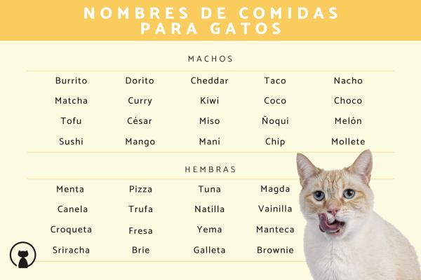 Nombres de Frutas para Gatos
