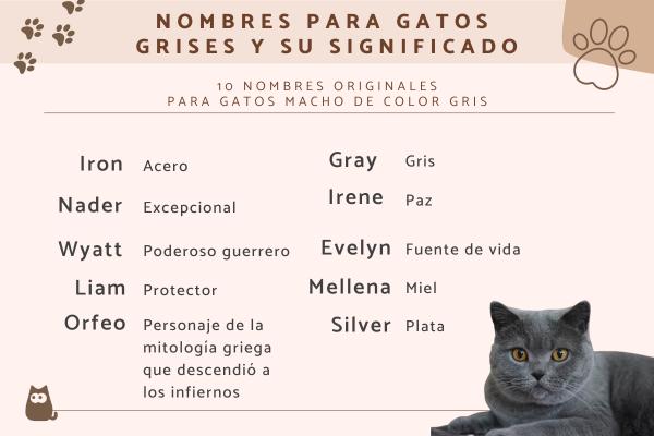 Nombres de Piedras Preciosas para Gatos