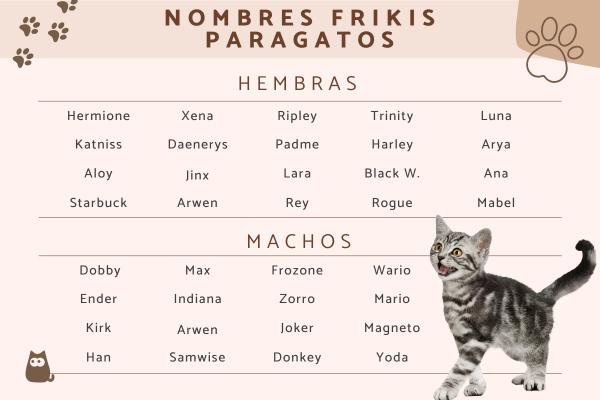 Nombres de Star Wars para Gatos