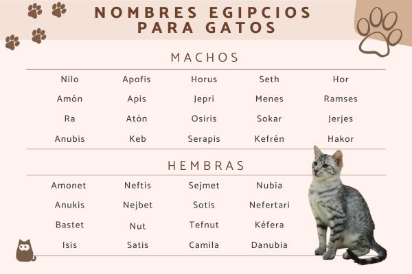 Nombres Egipcios para Gatos Machos