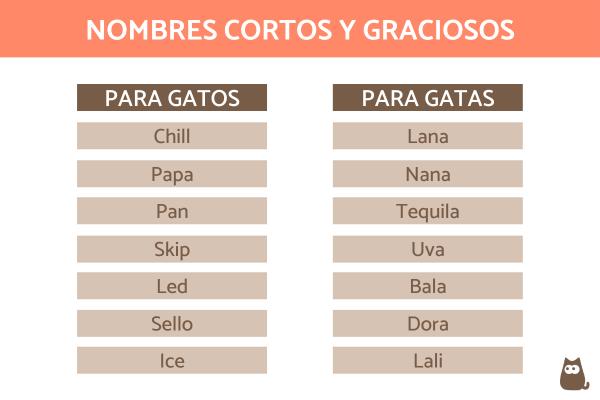 Lista de Nombres feos para gatos