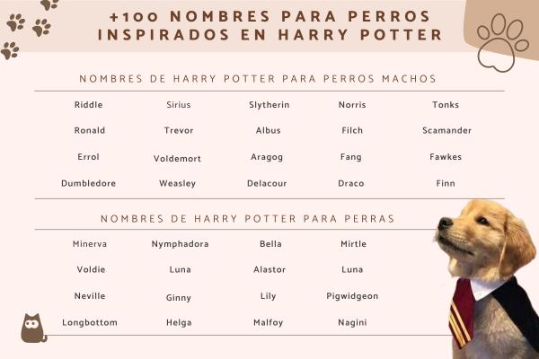 Nombres Frikis para Perros