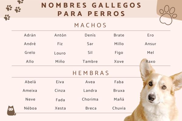 Nombres Gallegos para Perros