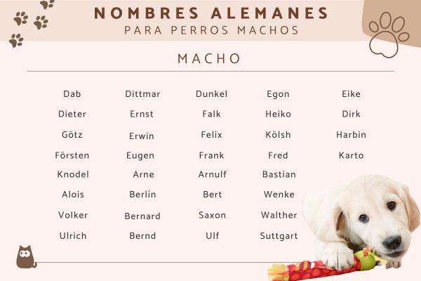 Nombres Holandeses para Perros