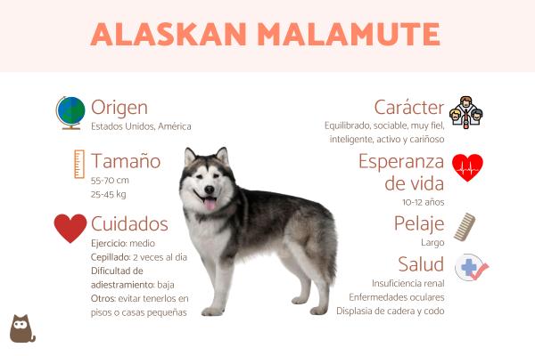 Nombres para Perros Alaska Malamute Hembra