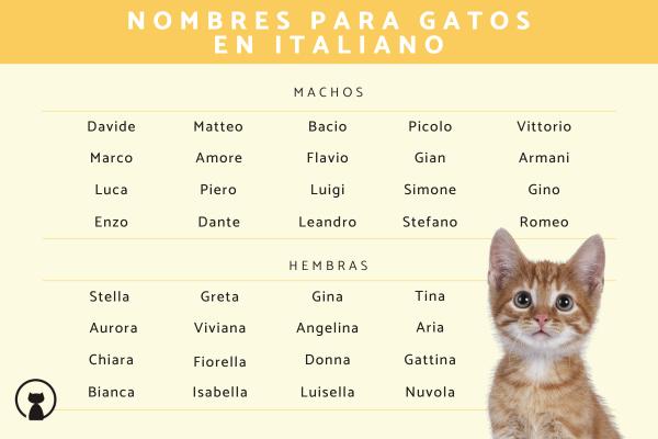 Lista de Nombres italianos para gatos machos