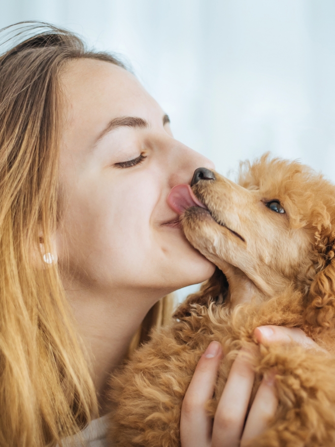 Nombres Mapuches para Perros