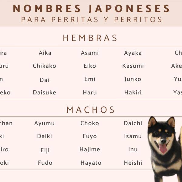 Nombres Orientales para Perros