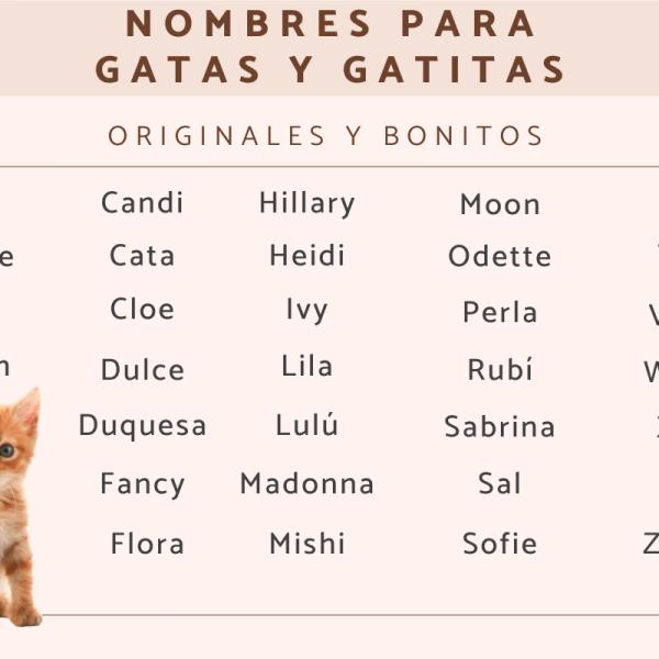 Los mejores Nombres para dos gatas hermanas