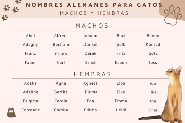 Nombres para Gatas en Alemán