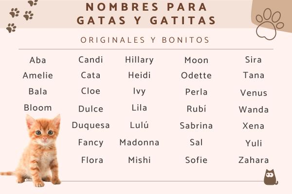 Nombres para Gatas Hembra