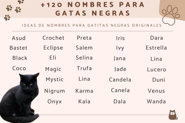 Nombres para Gatas Negras con Amarillo