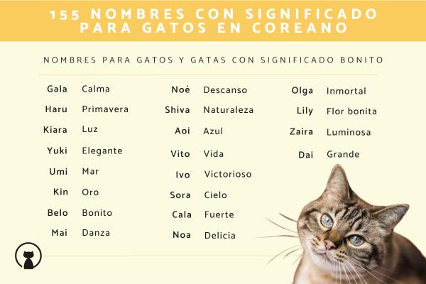 Nombres para Gatos Astrología