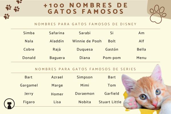 Nombres para Gatos de Famosos