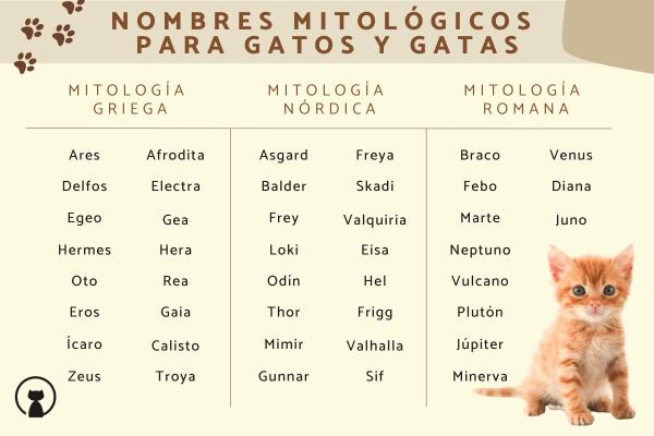 Los mejores Nombres para gatos hermanos hembra y macho