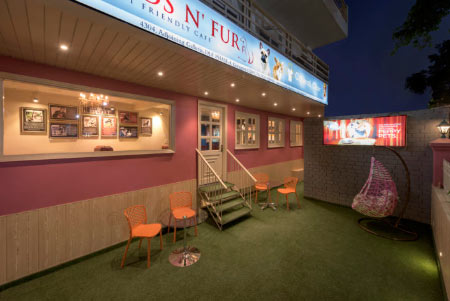 Nombres para Hoteles de Perros