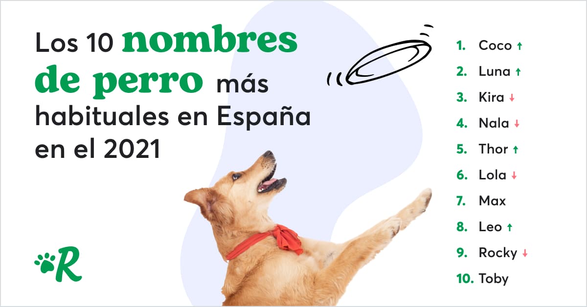 Nombres para Paseadores de Perros