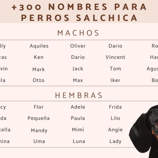 Nombres para Perras Negros