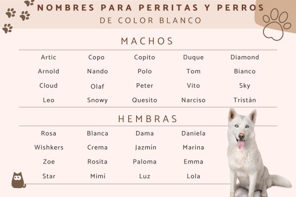 Nombres para Perros Blancos con Manchas Negras