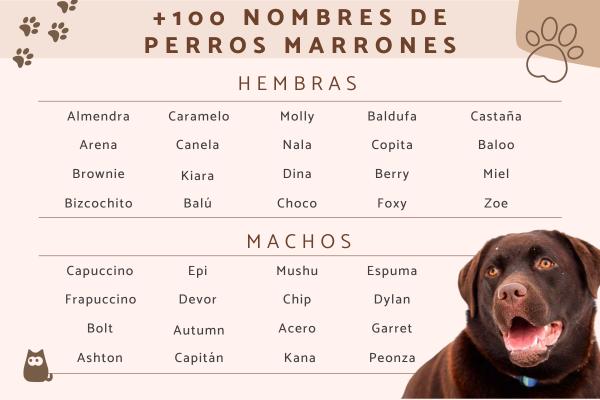 Nombres para Perros Color Beige