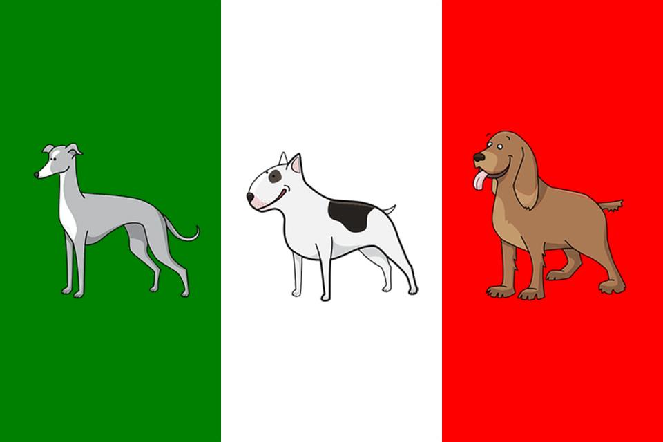 Nombres para Perros Europeos