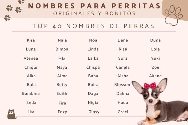 Nombres para Perros Hembras Famosas