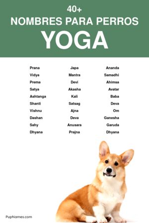 Nombres Zen para Perros