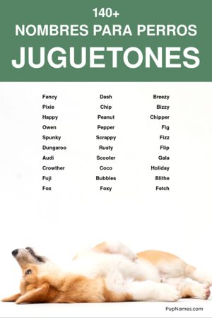 Nombres para Perros Mordelones
