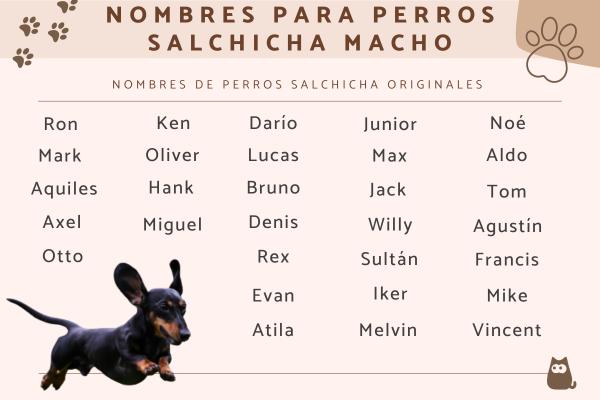 Nombres para Perros Pincher Hembras
