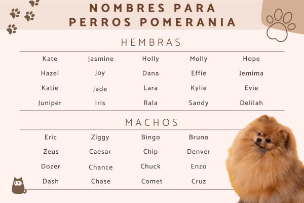 Nombres para Perros Pomerania Macho