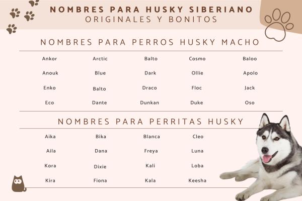 Nombres para Perros Siberianos Hembras