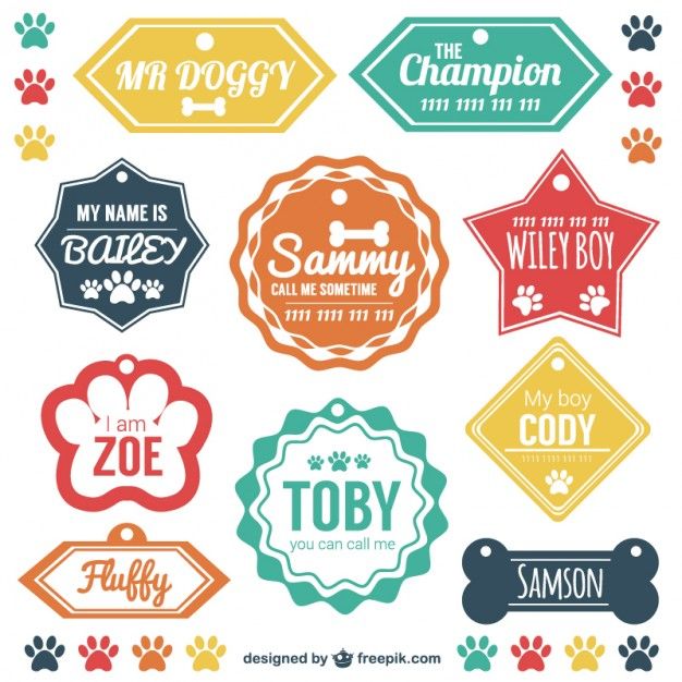 Nombres para Tiendas de Perros