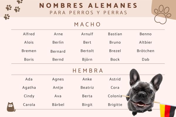Nombres Polacos para Perros