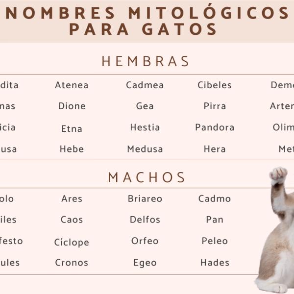 Nombres Romanos para Gatas